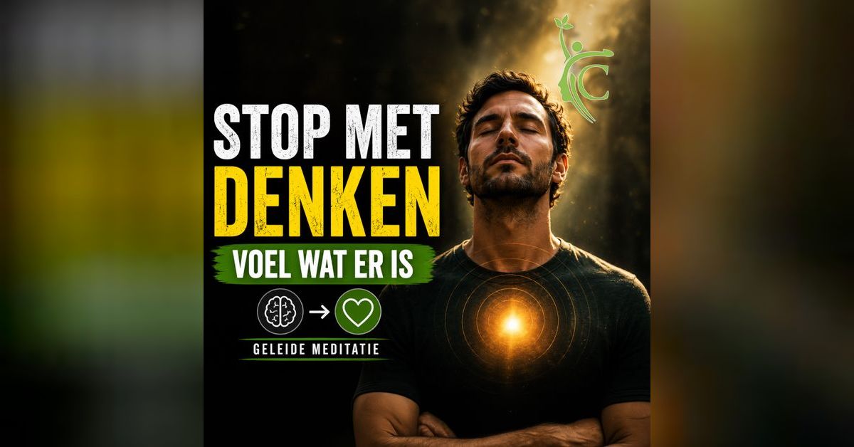 Van hoofd naar lijf (Deel 2/3) – Wat Zit Er Onder Al Dat Denken?
